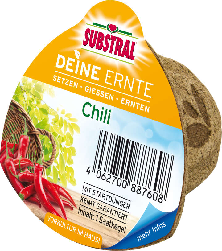 SUBSTRAL Deine Ernte Saatkegel Chili